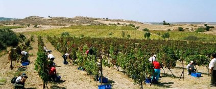 Tur Acentesi Yazılımı - Tur Acentesi Sitesi - Hazır Tur Acentesi Yazılımı
