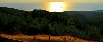 Tur Acentesi Yazılımı - Tur Acentesi Sitesi - Hazır Tur Acentesi Yazılımı