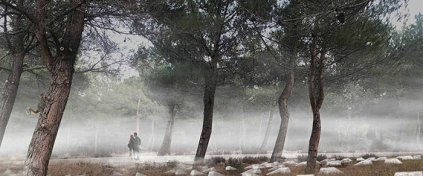 Tur Acentesi Yazılımı - Tur Acentesi Sitesi - Hazır Tur Acentesi Yazılımı
