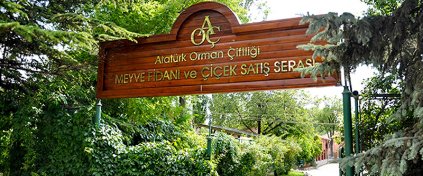 Tur Acentesi Yazılımı - Tur Acentesi Sitesi - Hazır Tur Acentesi Yazılımı