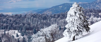 Tur Acentesi Yazılımı - Tur Acentesi Sitesi - Hazır Tur Acentesi Yazılımı